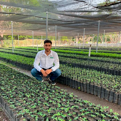 Vivero de café de COHONDUCAFE