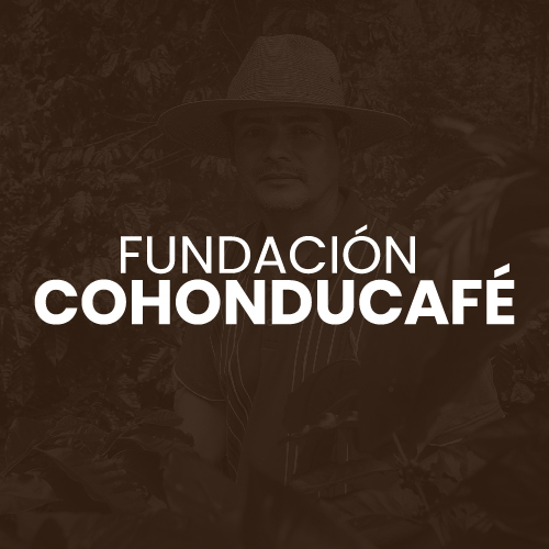 Fundación Cohonducafe