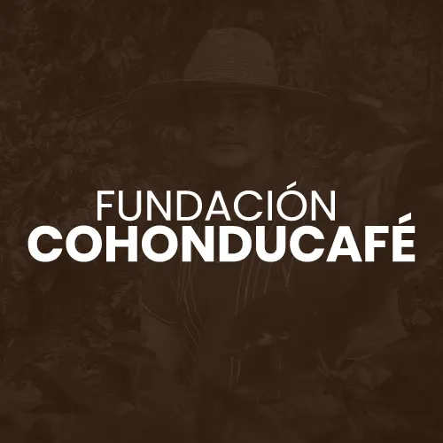 Fundación COHONDUCAFE
