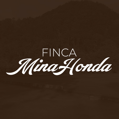 Mina Honda